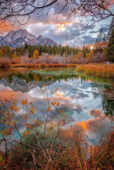 Аватара пользователя